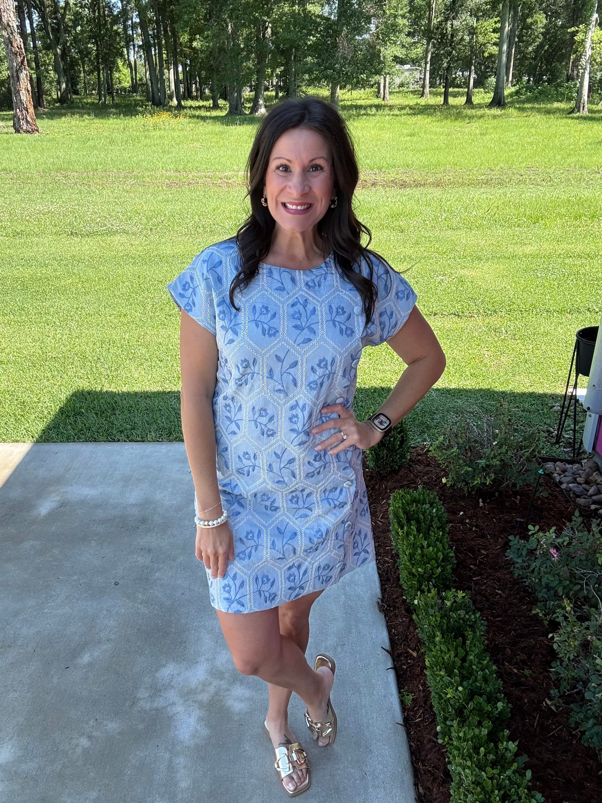 The Blue Belle Dress