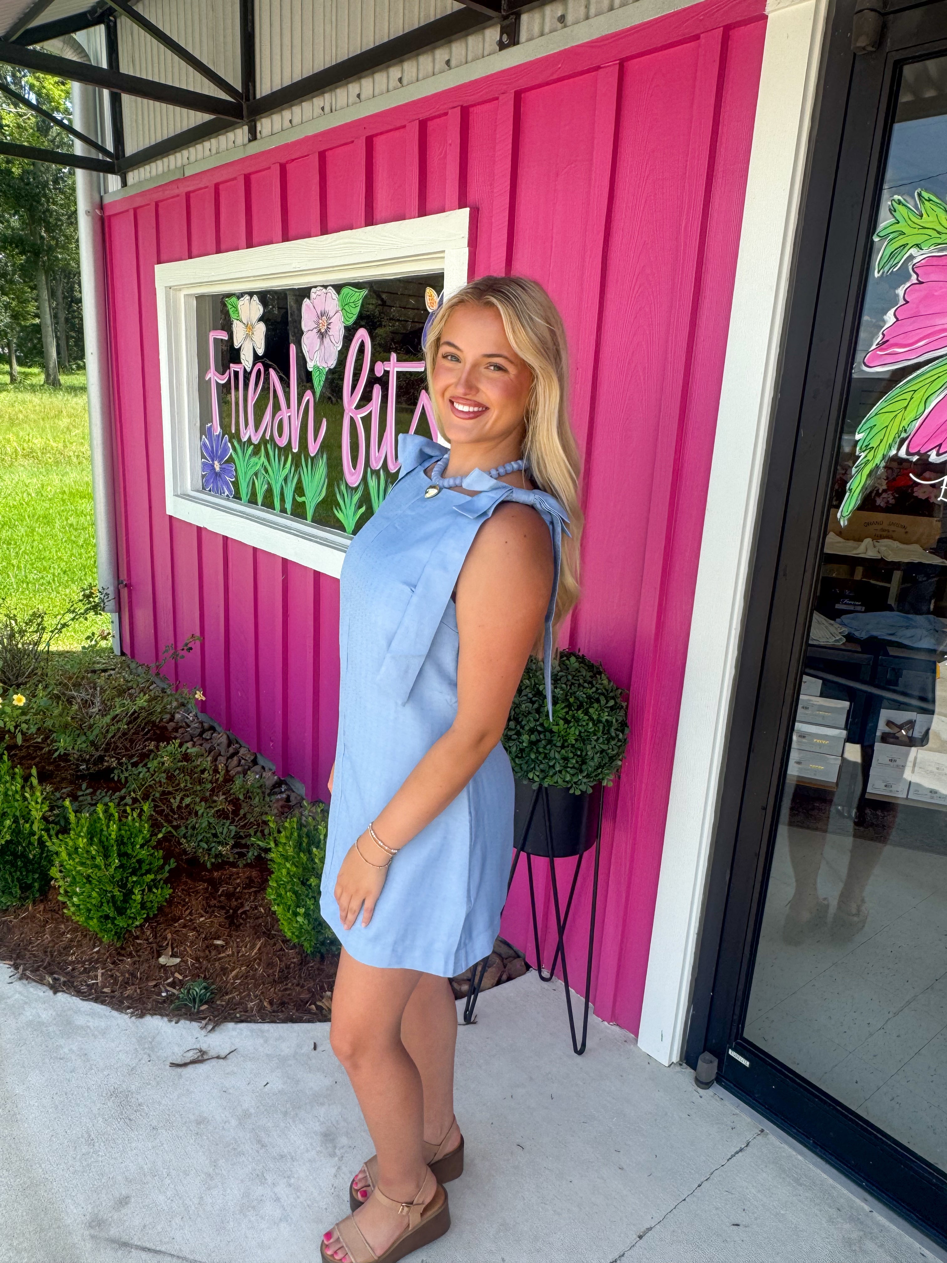 Carolina Sky Dress