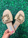 Champagne Coast Slides